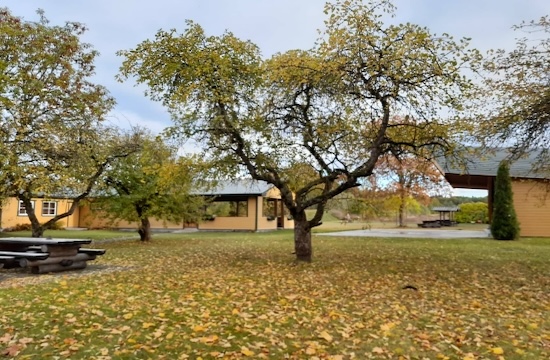 Maidla seltsimaja