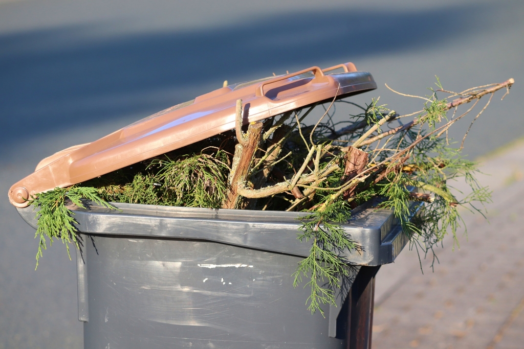 garbage-can-5398348_1920.jpg