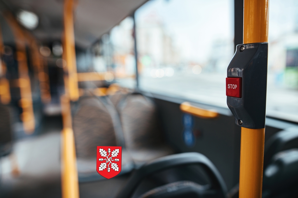 bussipeatus copy.jpg