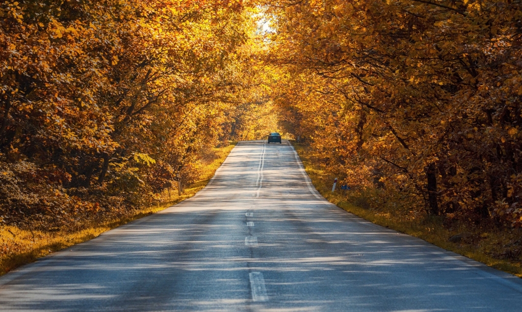 road-4655176_1920.jpg