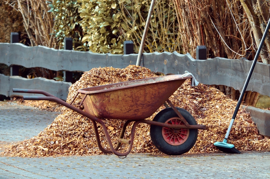 gardening-3997259_1280.jpg