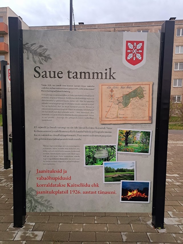 Väljapanek koosneb kaheksast tahvlist, mis jutustavad Saue linna loo