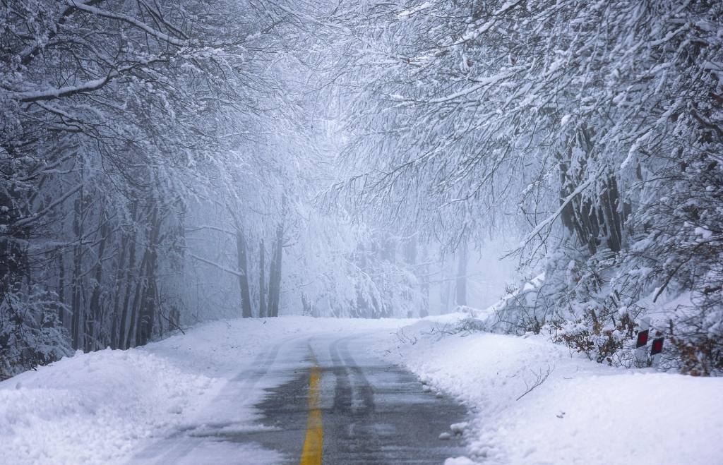 road-5903402_1920.jpg