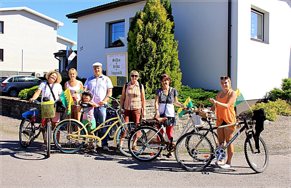 Saue linna kommiabi_2015_Valeri Larionov