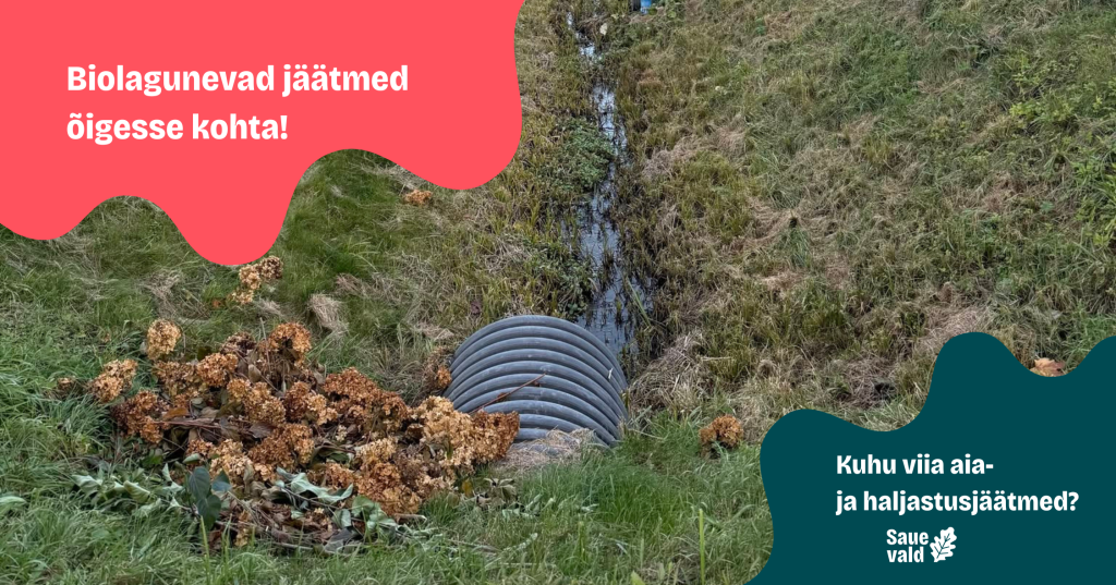 Aia- ja hljastusjäätmed